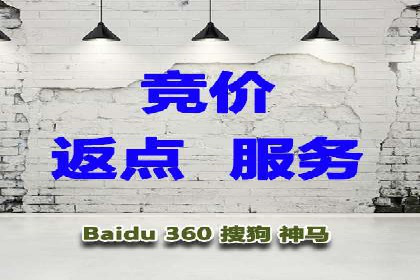 SEO与SEM优化案例：打造行业领先品牌